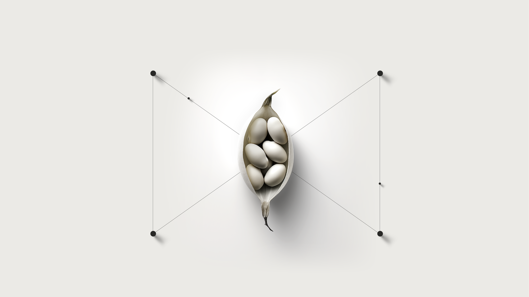 An X drawn in hairlines between four dots, with two further dots sitting on the lines and a split seed pod at the crossing point.