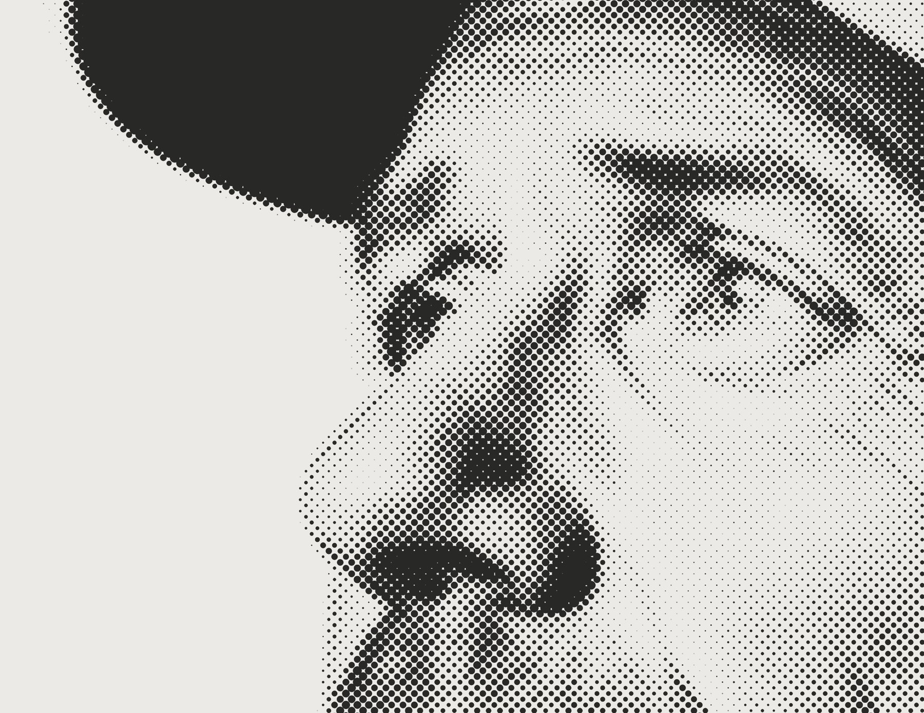 A second portrait at extreme halftone magnification, the face resolving only when you step back.