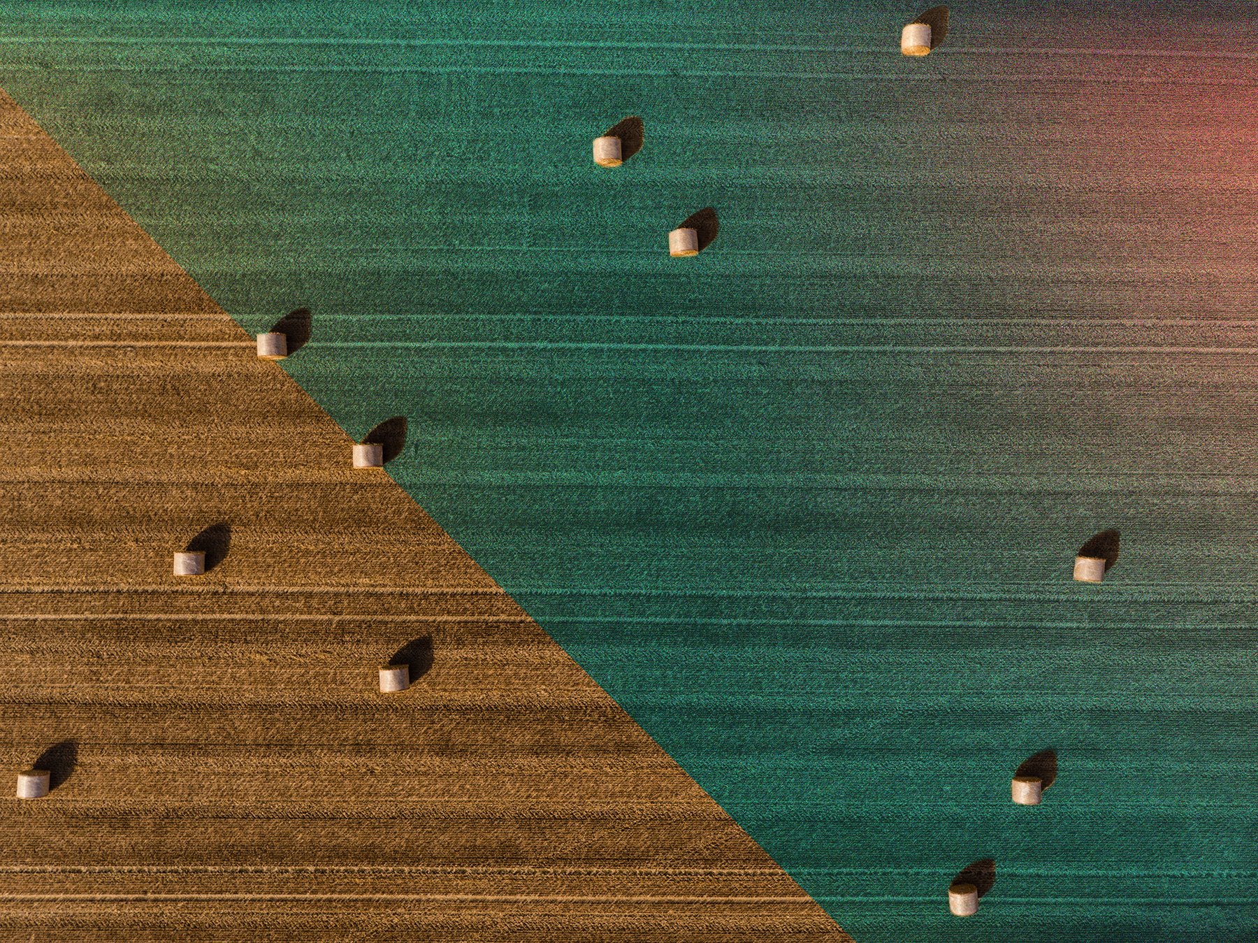 Round bales in a stubble field photographed from directly overhead, each throwing one shadow, all the shadows pointing the same way.