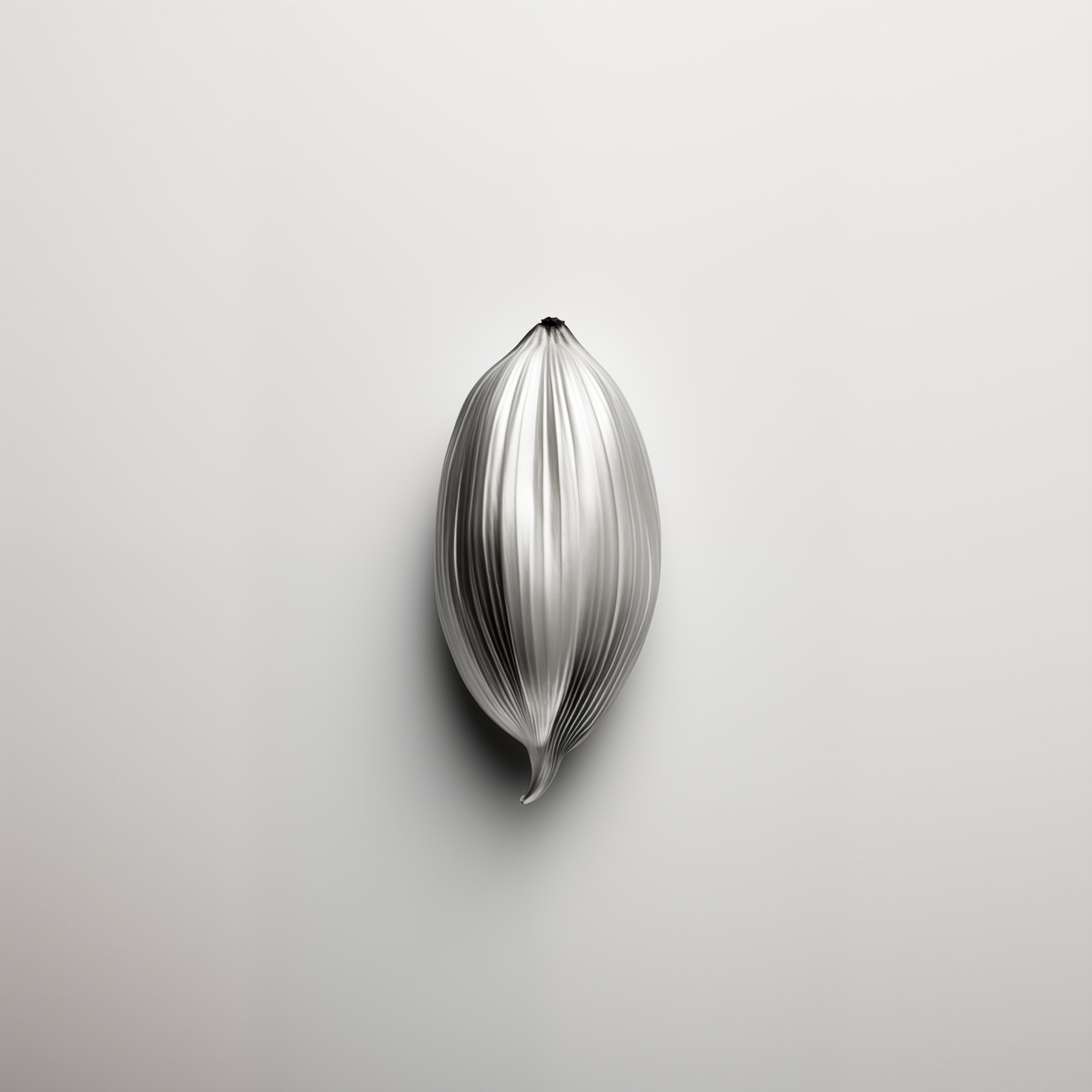 A ridged silver seed photographed upright on near white, lit hard enough to throw a defined shadow.